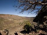 Hike to the River : New Mexico